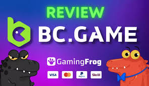 Unlocking the Potential of Online Gaming BCGame India